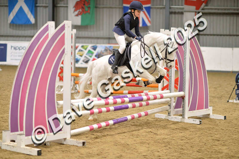 D4N_5606 - NorthcoteSun16thNov'25 Unaff.Jumping AvailableUntil16thDec'25