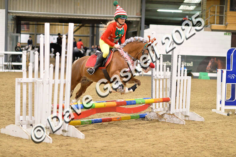 D4N_7098 - NorthcoteSat8thDec'25 XmasShowJumping AvailableUntil6thJan'26