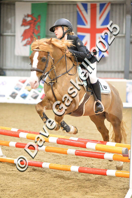 D4N_5760 - NorthcoteSun16thNov'25 Unaff.Jumping AvailableUntil16thDec'25