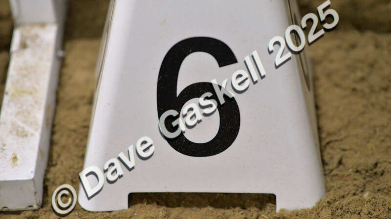 D4N_5907 - NorthcoteSun16thNov'25 Unaff.Jumping AvailableUntil16thDec'25