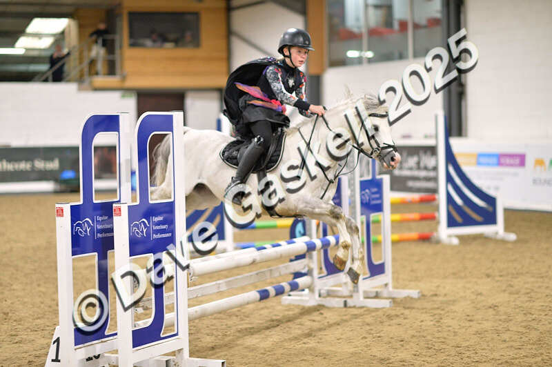 D4N_4987 - NorthcoteSun26thOct'25 Unaff.Jumping AvailableUntil28thNov'25