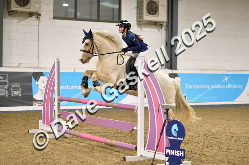 D4N_5926 - NorthcoteSun16thNov'25 Unaff.Jumping AvailableUntil16thDec'25