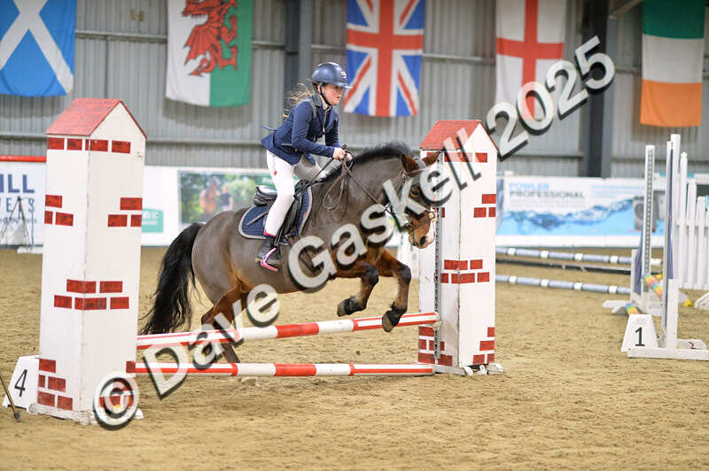 D4N_5534 - NorthcoteSun16thNov'25 Unaff.Jumping AvailableUntil16thDec'25