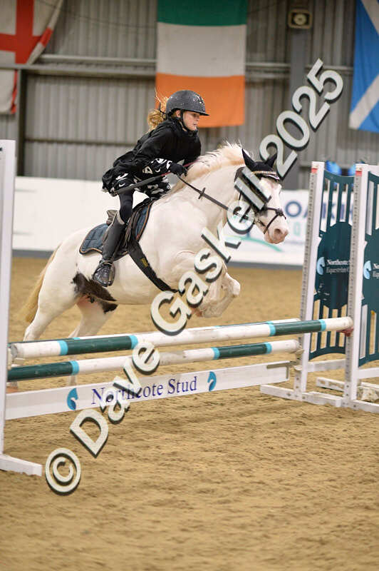 D4N_4890 - NorthcoteSun26thOct'25 Unaff.Jumping AvailableUntil28thNov'25