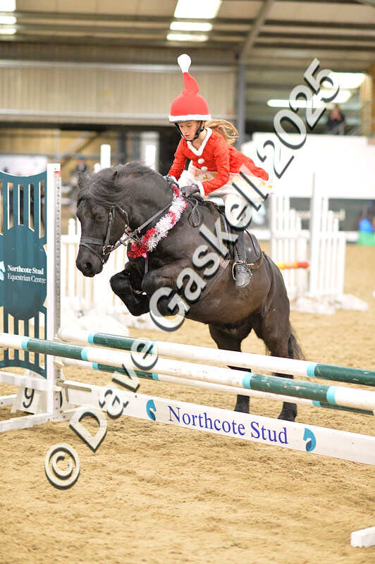 D4N_6832 - NorthcoteSat8thDec'25 XmasShowJumping AvailableUntil6thJan'26