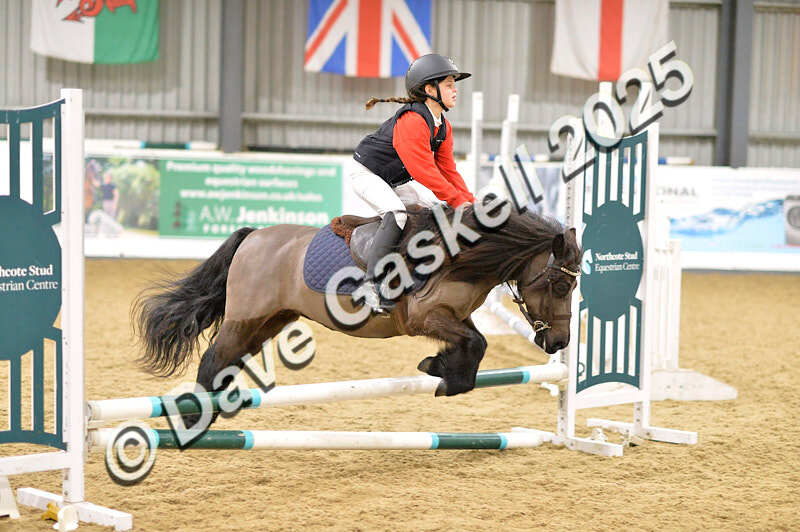 D4N_6678 - NorthcoteSat8thDec'25 XmasShowJumping AvailableUntil6thJan'26