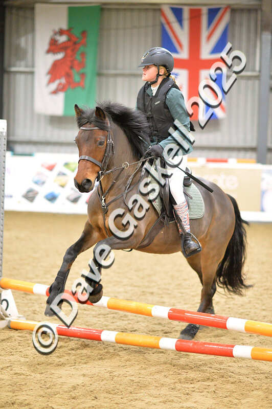 D4N_5558 - NorthcoteSun16thNov'25 Unaff.Jumping AvailableUntil16thDec'25