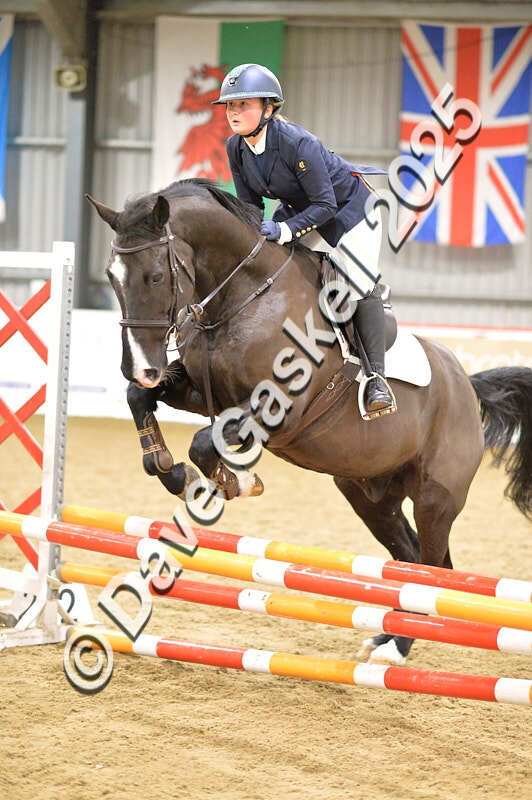 D4N_6079 - NorthcoteSun16thNov'25 Unaff.Jumping AvailableUntil16thDec'25