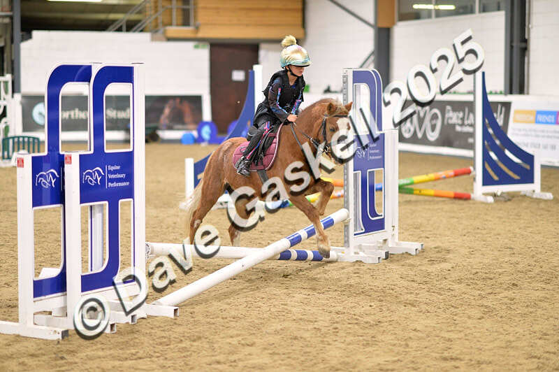 D4N_4671 - NorthcoteSun26thOct'25 Unaff.Jumping AvailableUntil28thNov'25