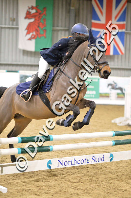 D4N_6922 - NorthcoteSat8thDec'25 XmasShowJumping AvailableUntil6thJan'26