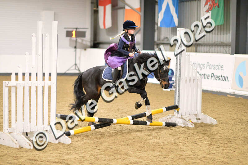 D4N_4684 - NorthcoteSun26thOct'25 Unaff.Jumping AvailableUntil28thNov'25