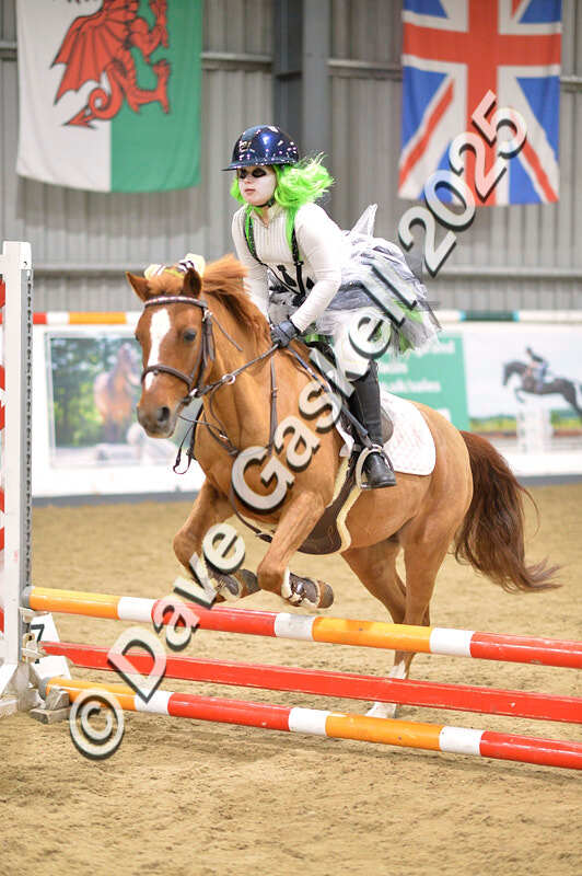 D4N_4760 - NorthcoteSun26thOct'25 Unaff.Jumping AvailableUntil28thNov'25