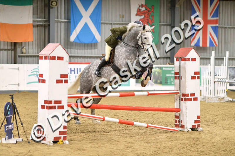 D4N_6469 - NorthcoteSun16thNov'25 Unaff.Jumping AvailableUntil16thDec'25