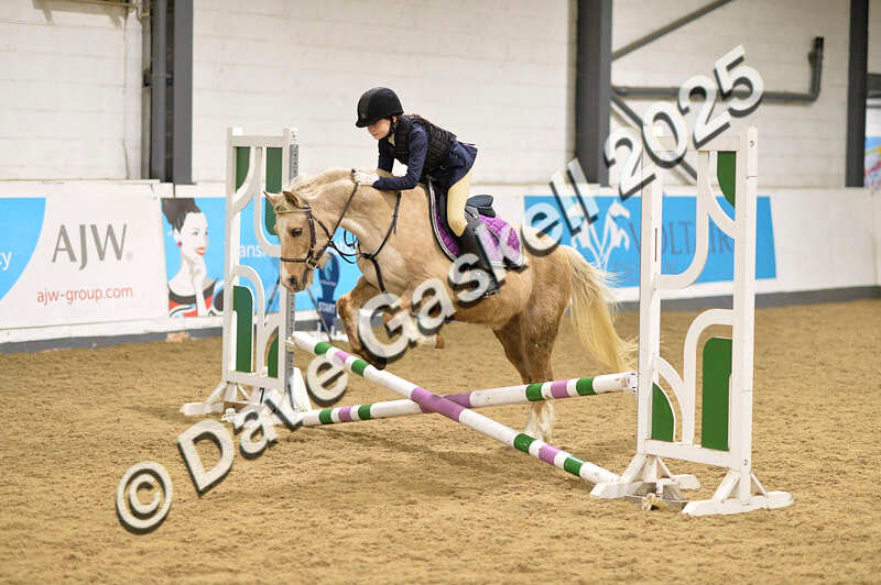 D4N_6795 - NorthcoteSat8thDec'25 XmasShowJumping AvailableUntil6thJan'26