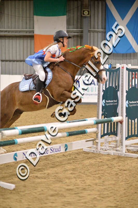 D4N_5005 - NorthcoteSun26thOct'25 Unaff.Jumping AvailableUntil28thNov'25