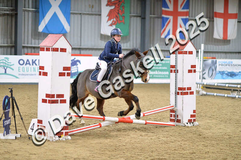 D4N_5517 - NorthcoteSun16thNov'25 Unaff.Jumping AvailableUntil16thDec'25