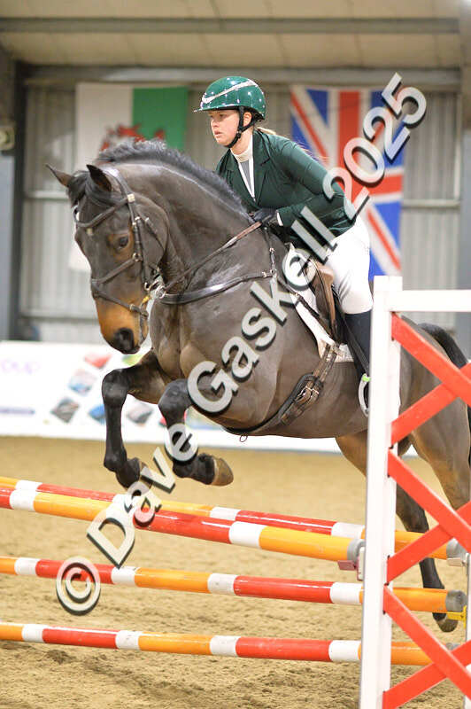 D4N_6523 - NorthcoteSun16thNov'25 Unaff.Jumping AvailableUntil16thDec'25