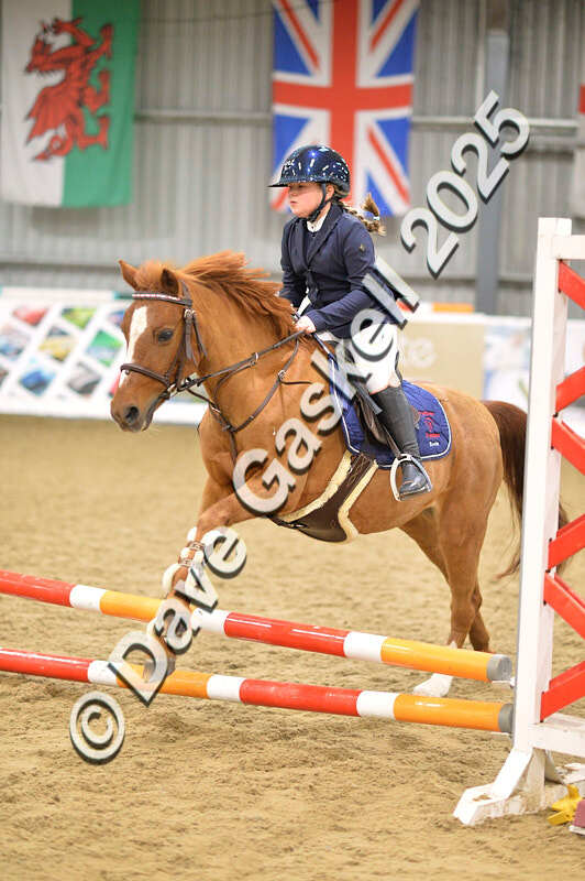 D4N_5564 - NorthcoteSun16thNov'25 Unaff.Jumping AvailableUntil16thDec'25