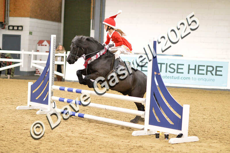 D4N_6833 - NorthcoteSat8thDec'25 XmasShowJumping AvailableUntil6thJan'26