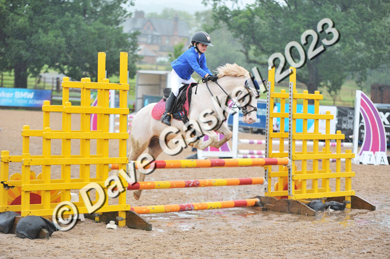 D8D_7212 - Juniors