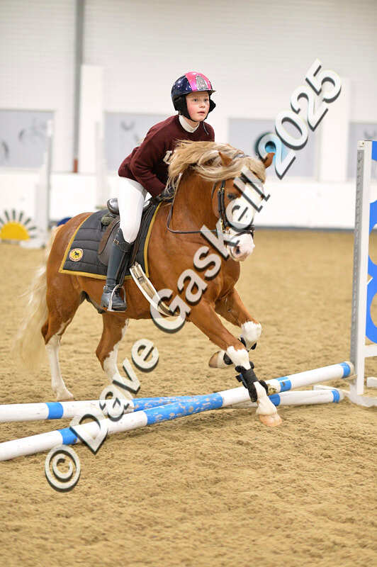 D4N_6643 - NorthcoteSat8thDec'25 XmasShowJumping AvailableUntil6thJan'26