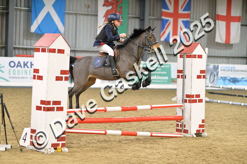 D4N_5808 - NorthcoteSun16thNov'25 Unaff.Jumping AvailableUntil16thDec'25