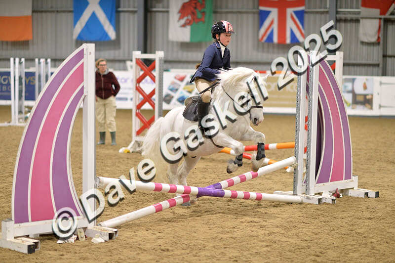 D4N_5525 - NorthcoteSun16thNov'25 Unaff.Jumping AvailableUntil16thDec'25