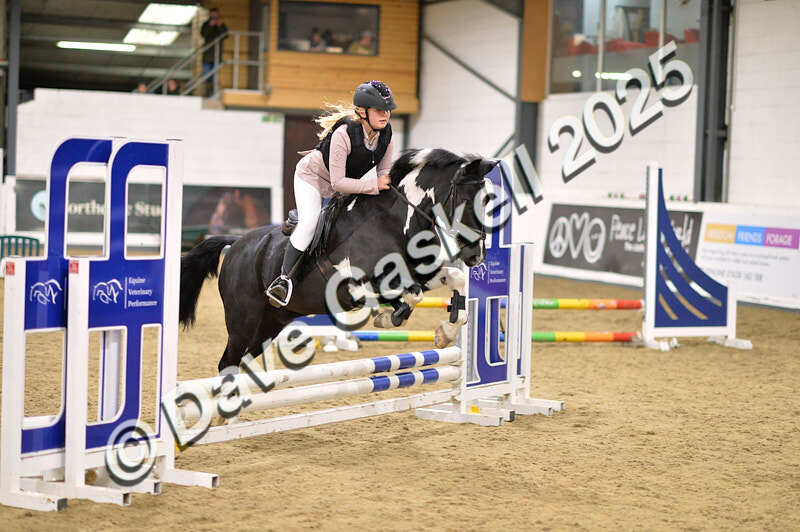 D4N_4874 - NorthcoteSun26thOct'25 Unaff.Jumping AvailableUntil28thNov'25