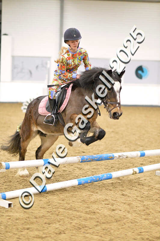 D4N_6705 - NorthcoteSat8thDec'25 XmasShowJumping AvailableUntil6thJan'26