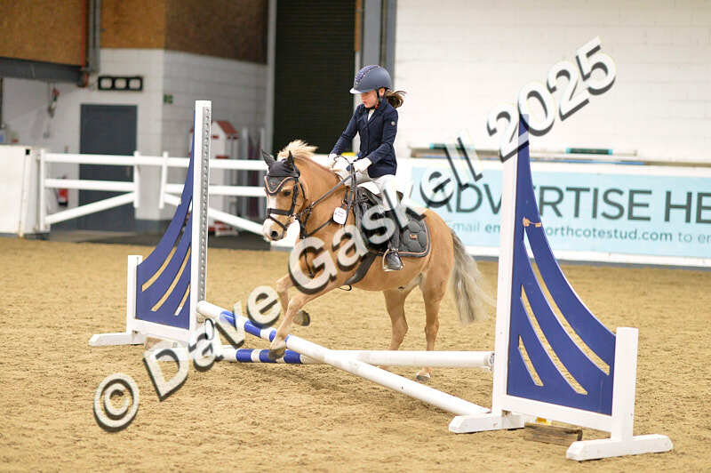D4N_6632 - NorthcoteSat8thDec'25 XmasShowJumping AvailableUntil6thJan'26