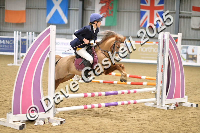 D4N_5531 - NorthcoteSun16thNov'25 Unaff.Jumping AvailableUntil16thDec'25