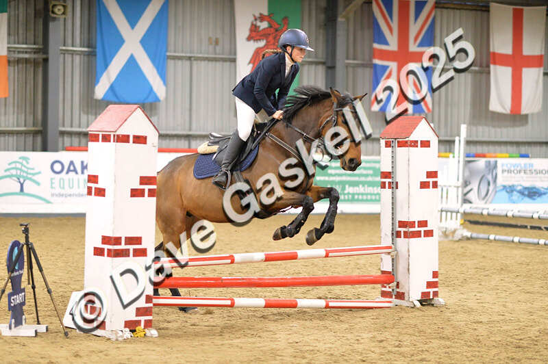 D4N_5979 - NorthcoteSun16thNov'25 Unaff.Jumping AvailableUntil16thDec'25