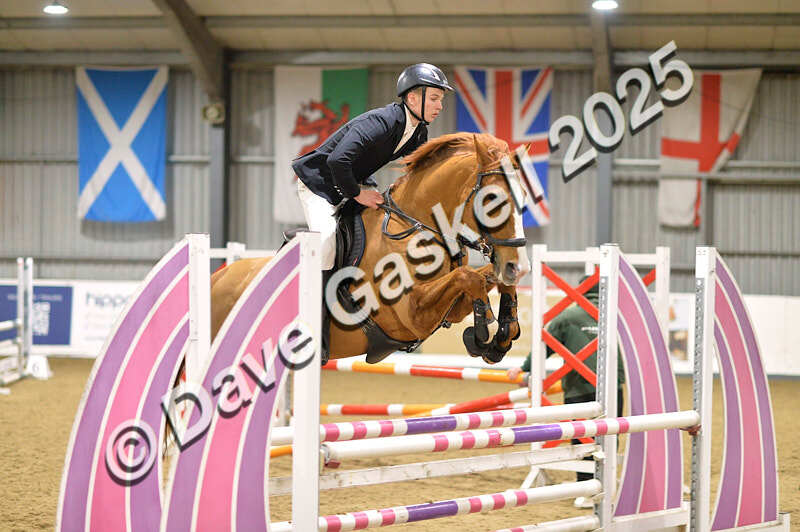 D4N_6478 - NorthcoteSun16thNov'25 Unaff.Jumping AvailableUntil16thDec'25