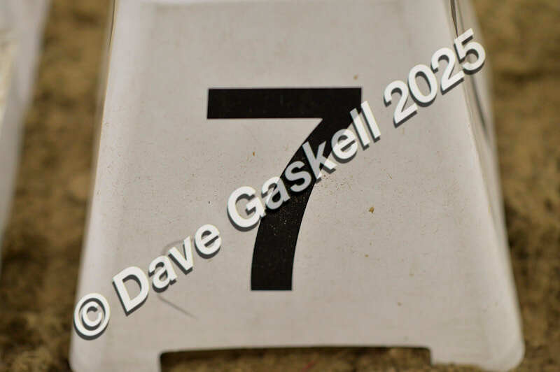 D4N_7058 - NorthcoteSat8thDec'25 XmasShowJumping AvailableUntil6thJan'26