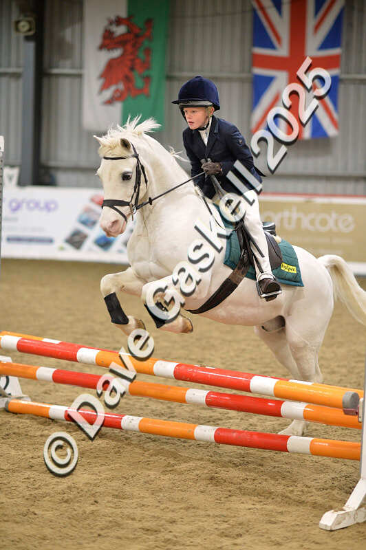 D4N_5620 - NorthcoteSun16thNov'25 Unaff.Jumping AvailableUntil16thDec'25