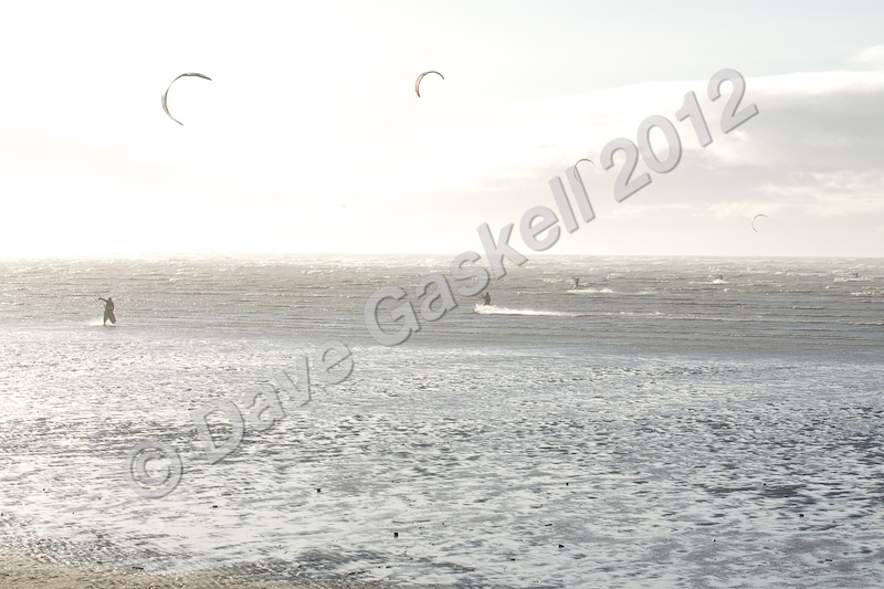DSC_7963 - Beach & Surf Scenes
