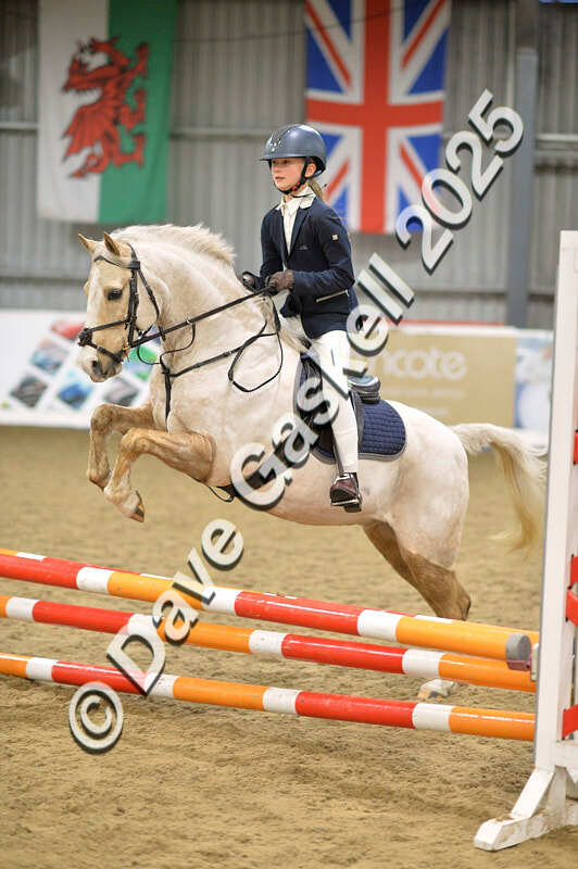 D4N_5642 - NorthcoteSun16thNov'25 Unaff.Jumping AvailableUntil16thDec'25