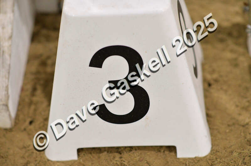 D4N_6749 - NorthcoteSat8thDec'25 XmasShowJumping AvailableUntil6thJan'26