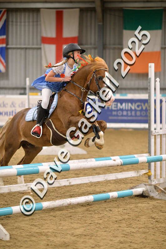 D4N_5002 - NorthcoteSun26thOct'25 Unaff.Jumping AvailableUntil28thNov'25