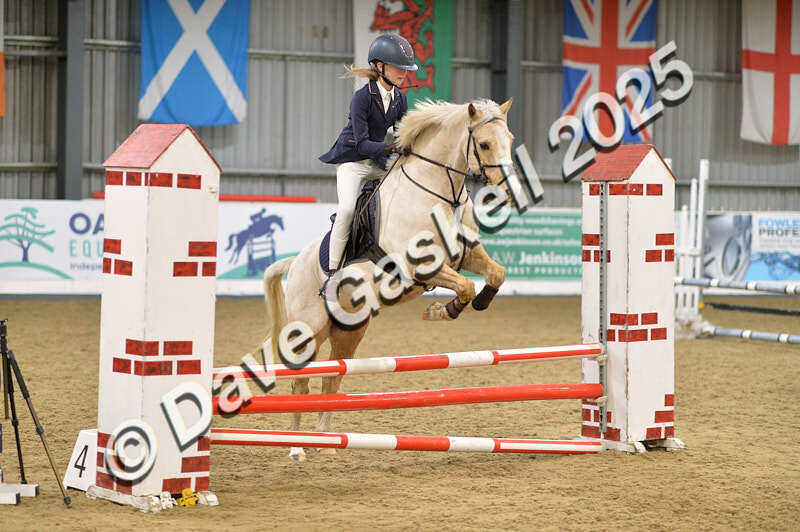 D4N_5755 - NorthcoteSun16thNov'25 Unaff.Jumping AvailableUntil16thDec'25