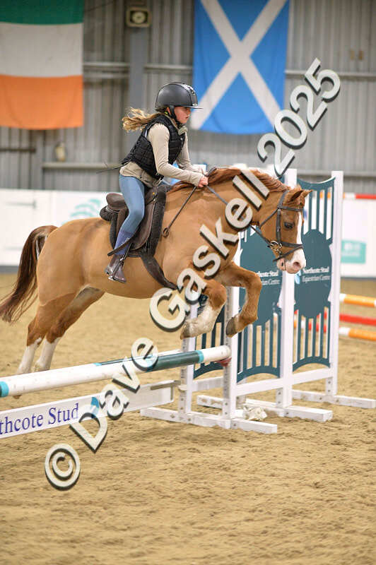 D4N_4768 - NorthcoteSun26thOct'25 Unaff.Jumping AvailableUntil28thNov'25