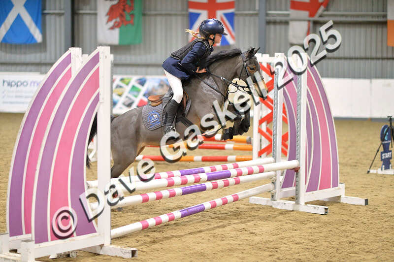 D4N_5588 - NorthcoteSun16thNov'25 Unaff.Jumping AvailableUntil16thDec'25