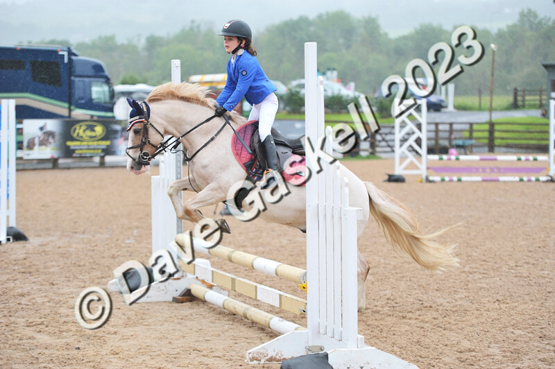 D8D_7166 - Juniors