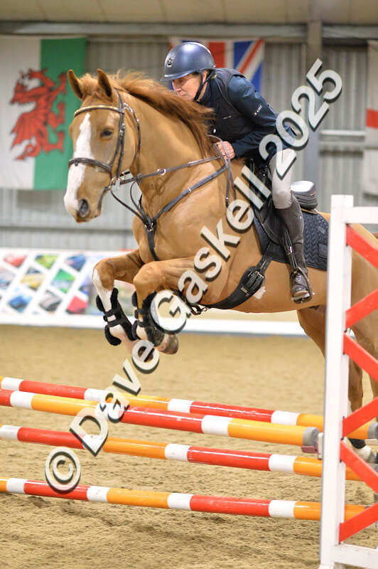 D4N_6323 - NorthcoteSun16thNov'25 Unaff.Jumping AvailableUntil16thDec'25