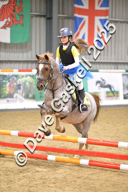 D4N_4840 - NorthcoteSun26thOct'25 Unaff.Jumping AvailableUntil28thNov'25