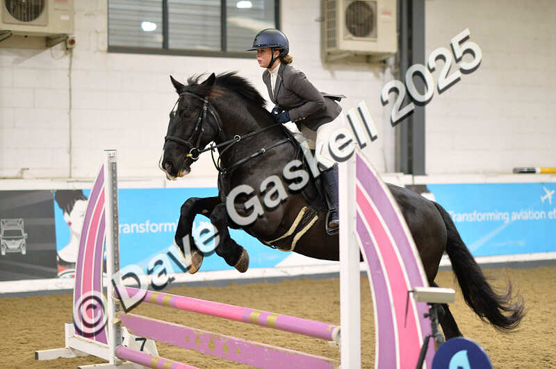 D4N_5727 - NorthcoteSun16thNov'25 Unaff.Jumping AvailableUntil16thDec'25