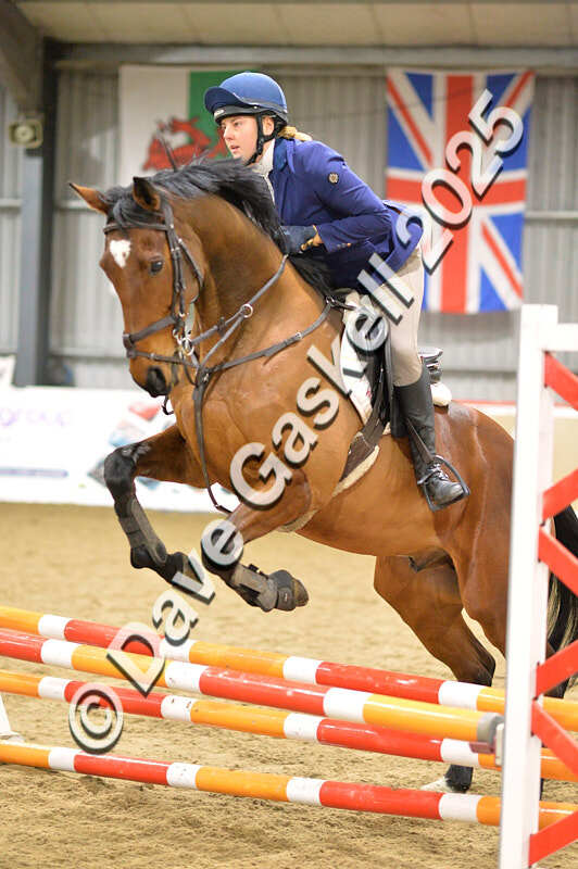 D4N_6231 - NorthcoteSun16thNov'25 Unaff.Jumping AvailableUntil16thDec'25