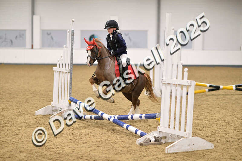 D4N_4618 - NorthcoteSun26thOct'25 Unaff.Jumping AvailableUntil28thNov'25