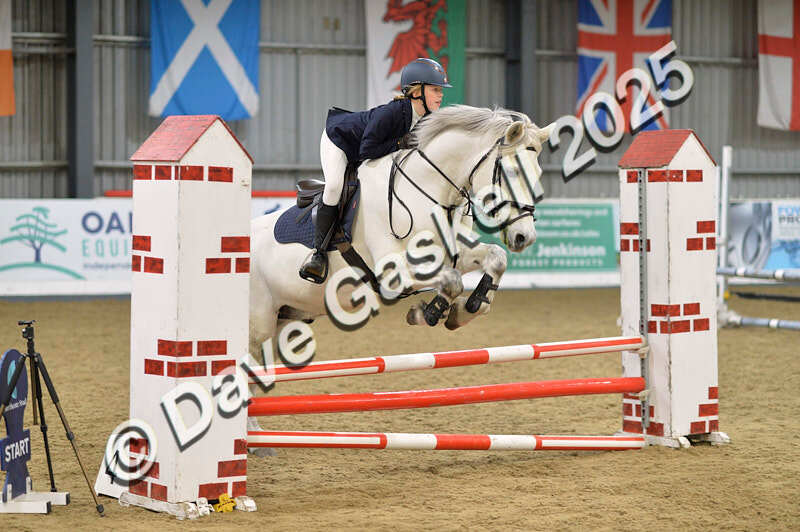 D4N_5691 - NorthcoteSun16thNov'25 Unaff.Jumping AvailableUntil16thDec'25