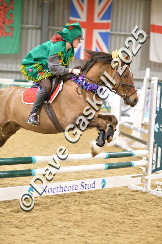 D4N_6858 - NorthcoteSat8thDec'25 XmasShowJumping AvailableUntil6thJan'26